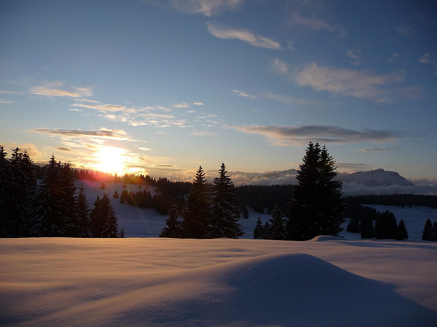 Pixabay