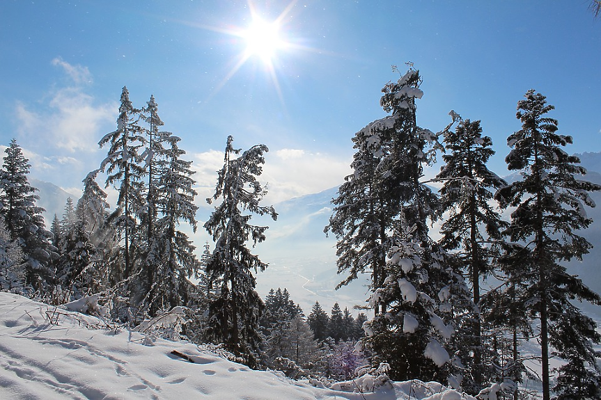 Pixabay