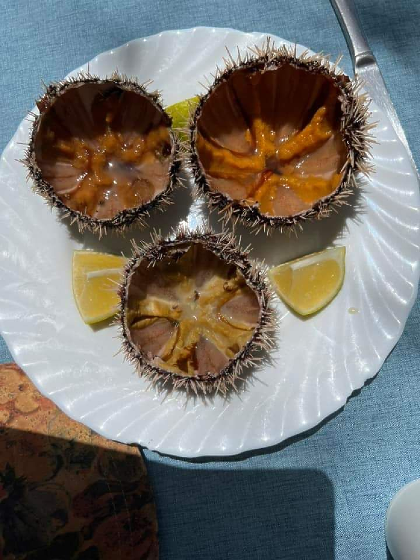 ©Магдалена Гигова