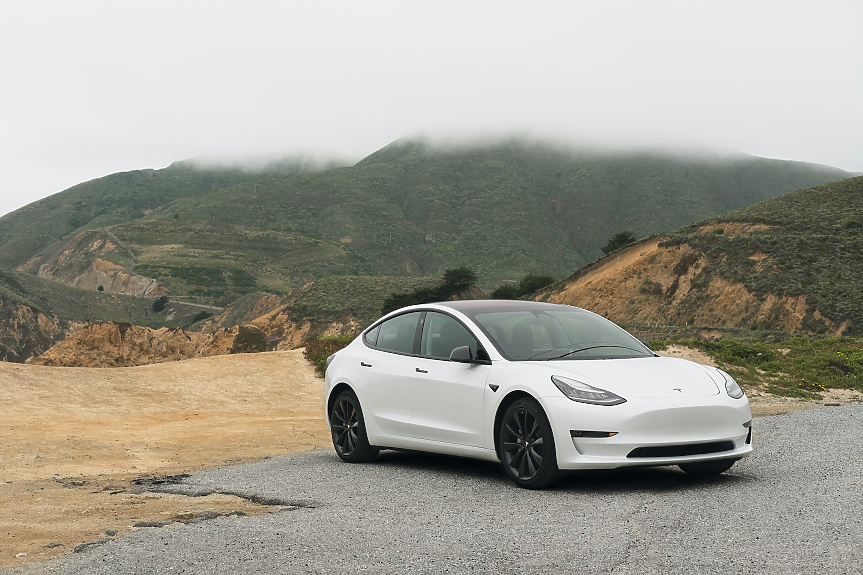 Братът на Илон Мъск продаде акции на Tesla за $17 млн.