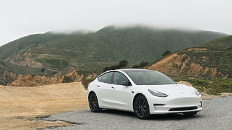 Братът на Илон Мъск продаде акции на Tesla за $17 млн.