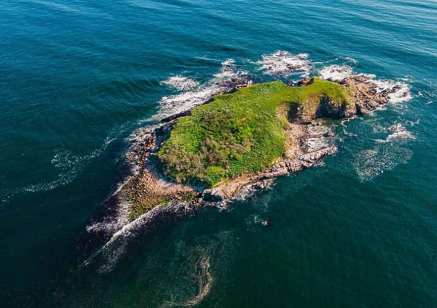 Островите ни в Черно море: Кактуси, змии и древна история