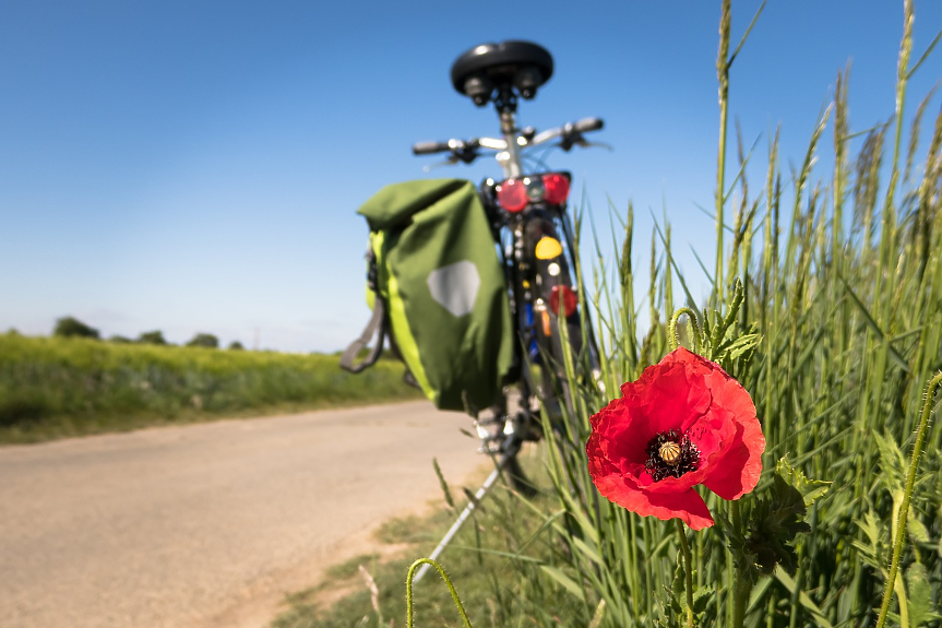 EuroVelo: Велосипедната мрежа, която обхваща Европа (и България)