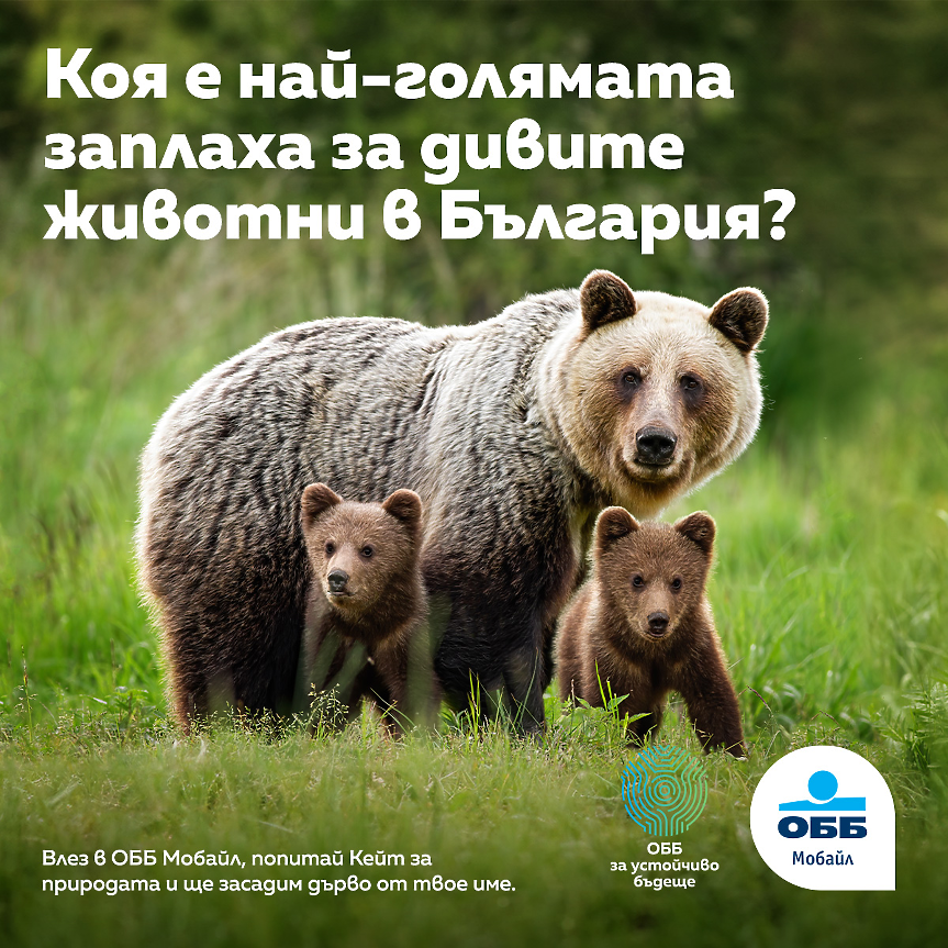 ОББ