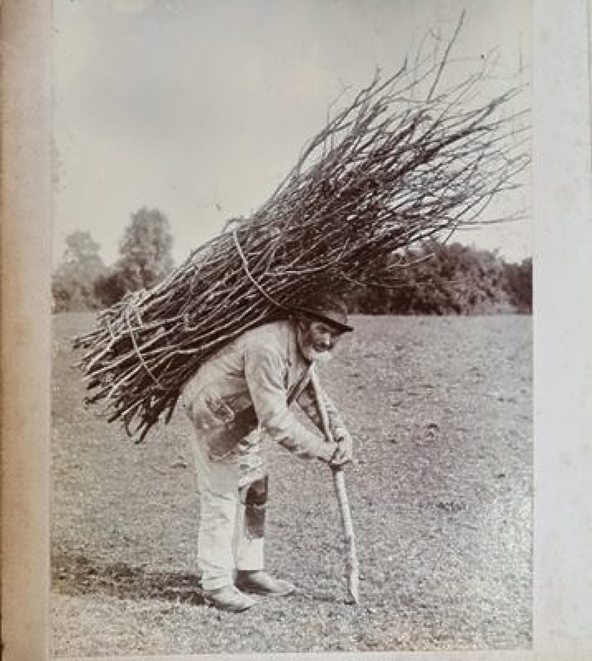 Wiltshire Museum