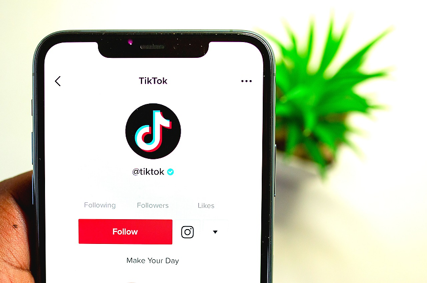 Въпреки опасенията: Популярността на TikTok сред европейските политици расте