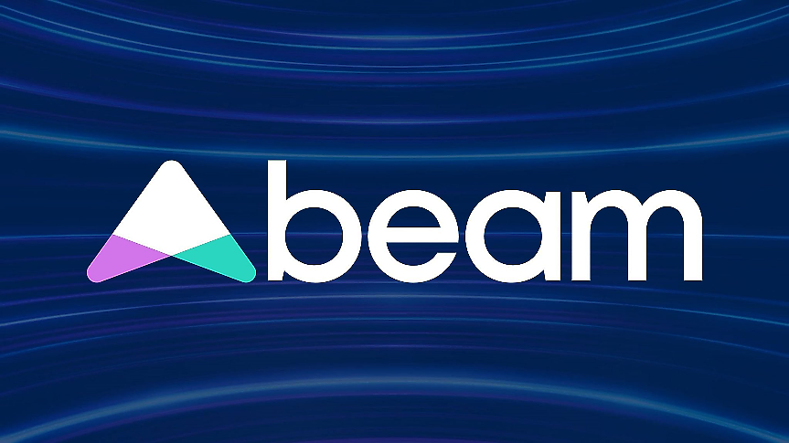 Как се представят компаниите от beam пазара през 2024 г.?