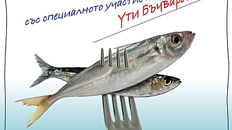 Празник на О-солената риба организират в Созопол
