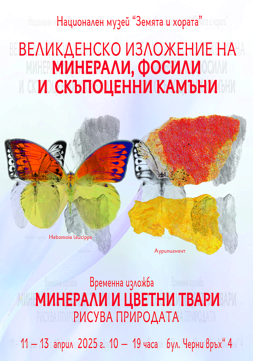 dbr.bg-image