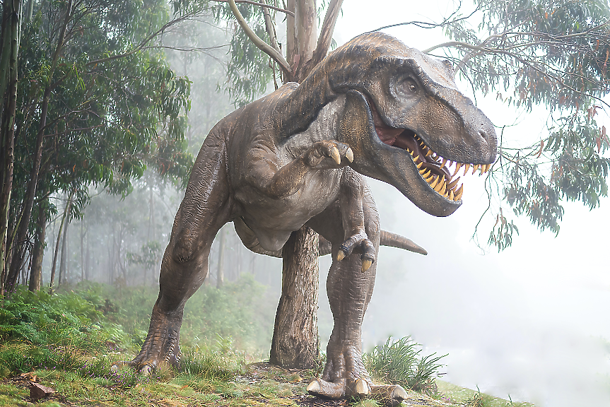 Преди 70 млн. години: Предците на T. rex преминали от Азия в Северна Америка през сухопътен мост