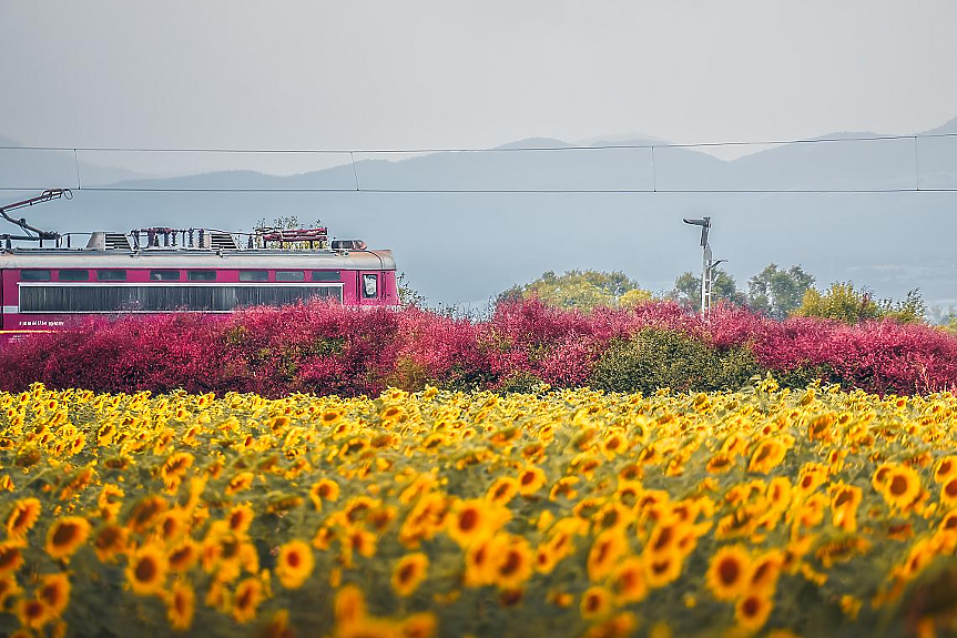 Заради мащабни ремонти: БДЖ с ново разписание на влаковете за 2026 г.