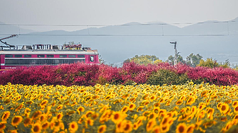 Заради мащабни ремонти: БДЖ с ново разписание на влаковете за 2026 г.