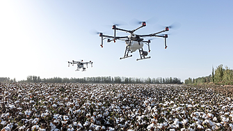 Rheinmetall строи заводи в България: Как памукът се оказа ключът в производството на барут?