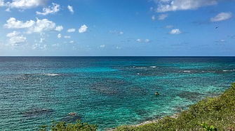 Как Ангѝла превърна своя .ai домейн в златна мина?