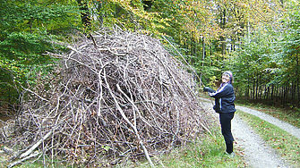 Защо хората продължават да хвърлят пръчки по Стикхокен?