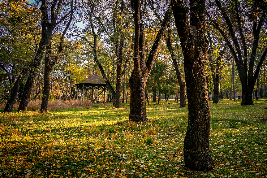 Отварят за граждани още 30 декара от парка на Военната академия в София