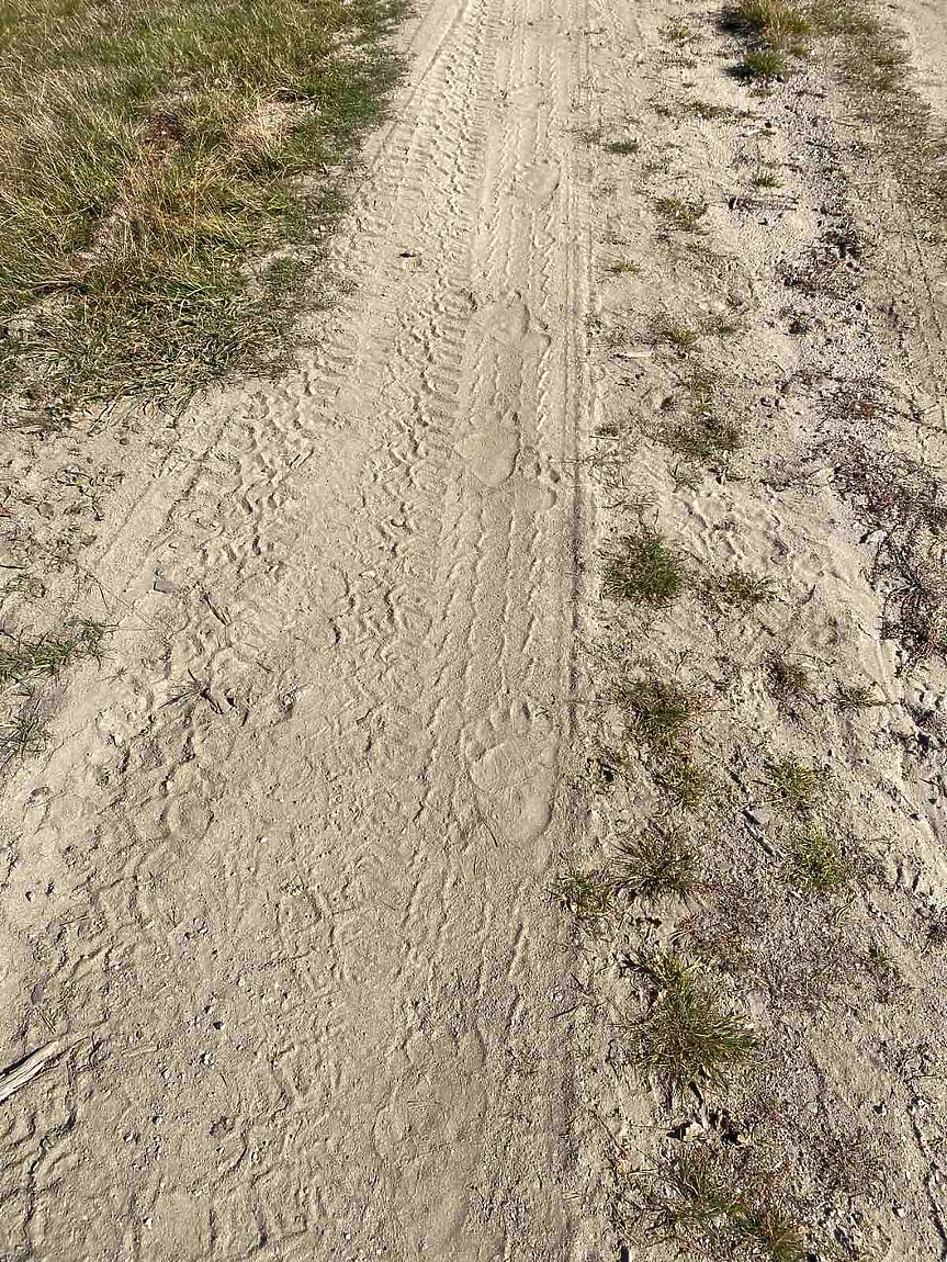 Следи от кафява мечка; ©Министерство на околната среда и водите