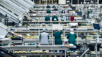 Световен гигант с над 1000 служители у нас с мащабни съкращения