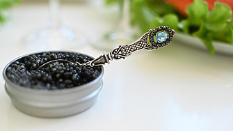 Завръщане на световния пазар на хайвер: Турция възстанови изчезнали видове есетри в Черно море