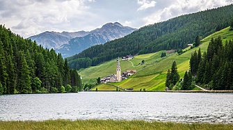 Италиански град въвежда туристически данък за кучета