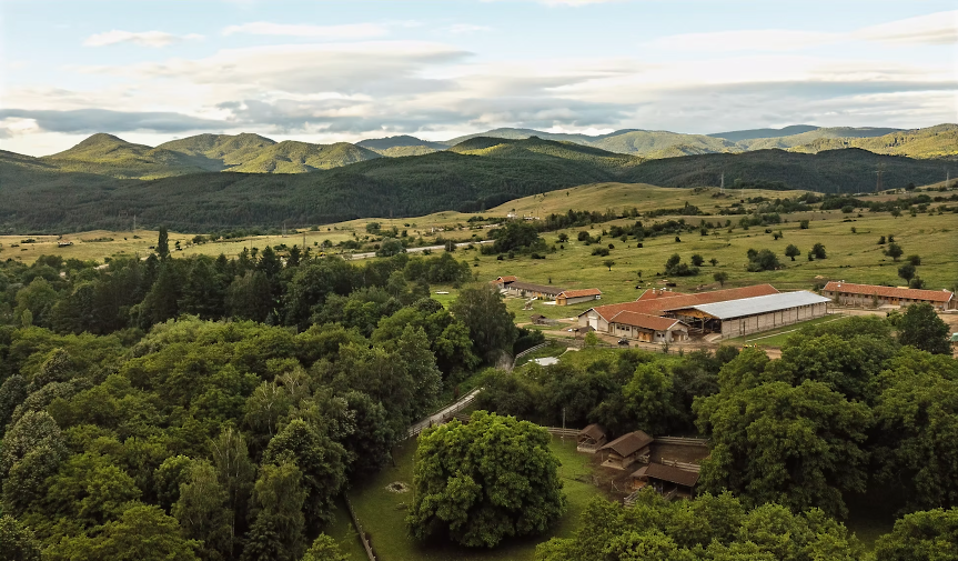 Българка стана най-добрата жена биопроизводител в ЕС