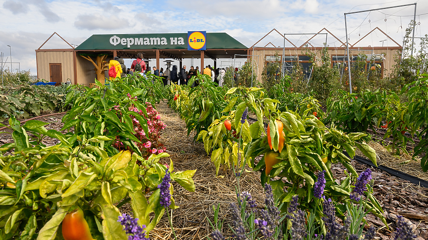 От полето до чинията: Лидл откри у нас образователна градина от ново поколение