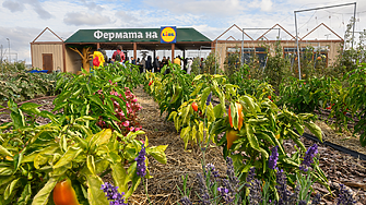 От полето до чинията: Лидл откри у нас образователна градина от ново поколение