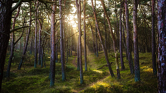 Lonely Planet обяви румънски регион за топ дестинация в Европа за Хелоуин