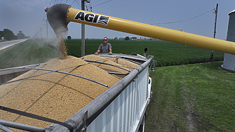 За първи път от 7 години: Китай не внесе нито един тон американска соя през месеца