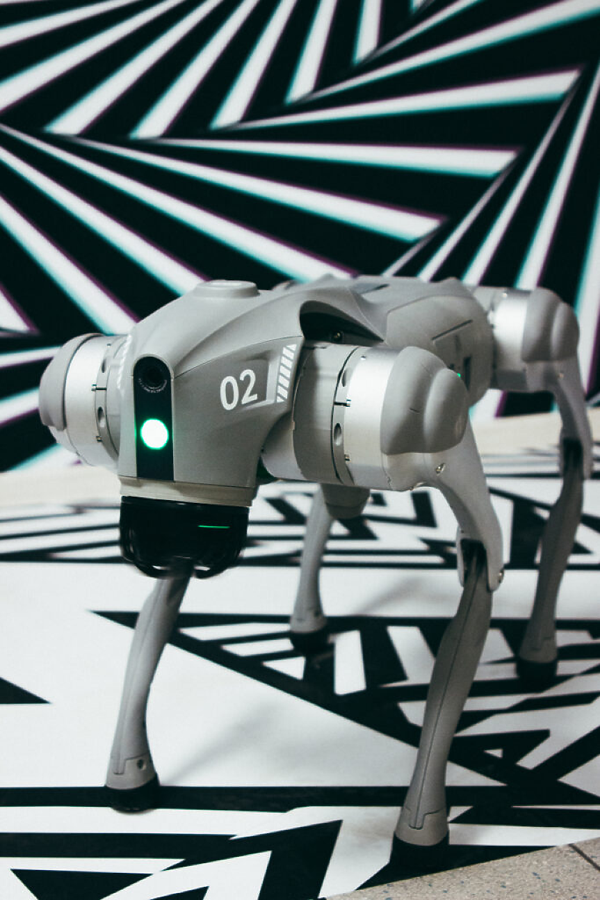 Музей PHENOMENA 