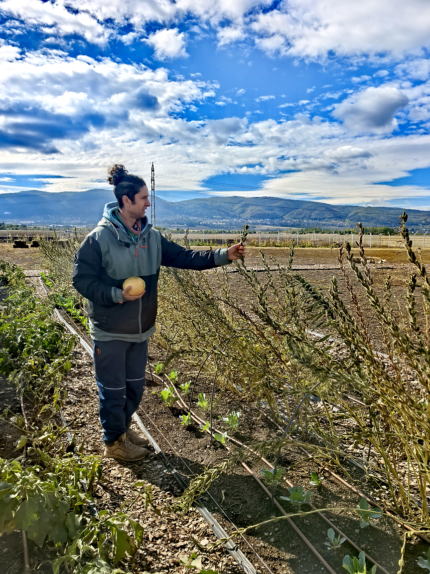 Агрономът Теодор Насър показва сусама във Фермата на Lidl