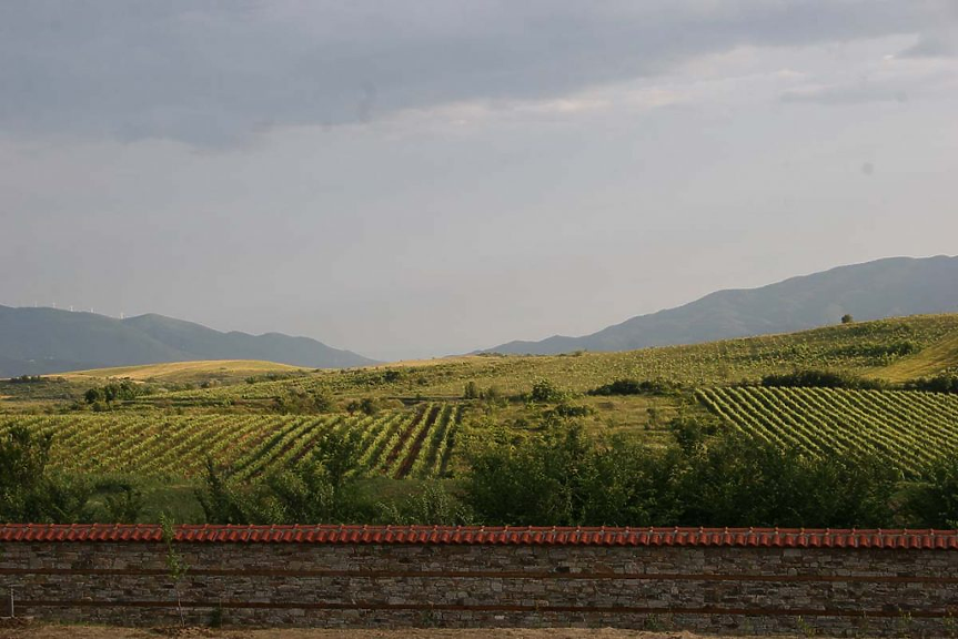 Био винарна Орбелус