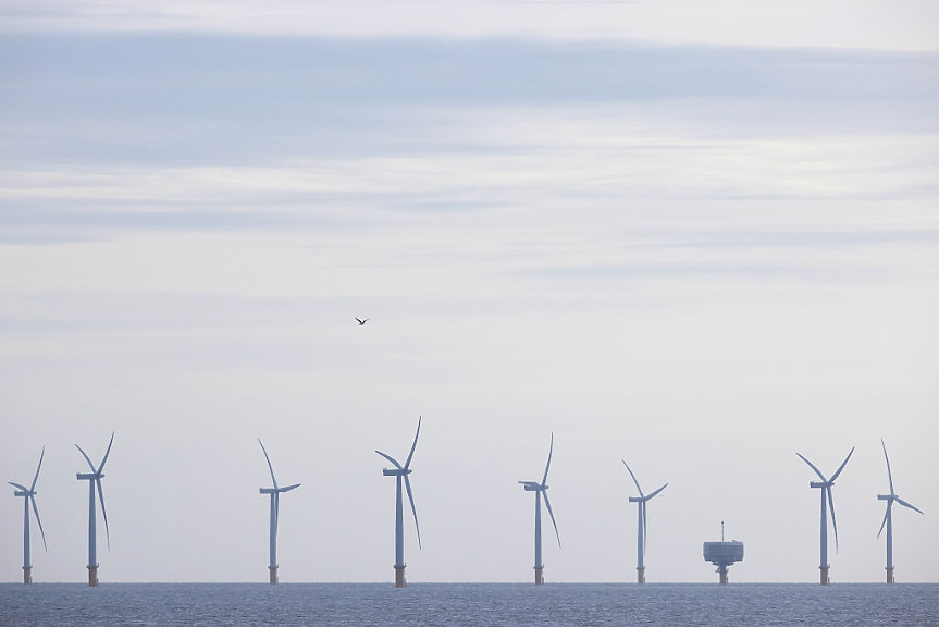 Една от най-големите компании за вятърни паркове в света съкращава четвърт от служителите си