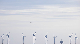 Една от най-големите компании за вятърни паркове в света съкращава четвърт от служителите си