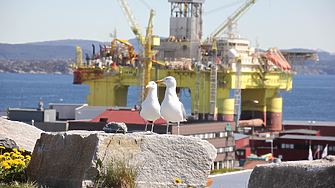 След 7-седмичен връх: Петролът поевтинява