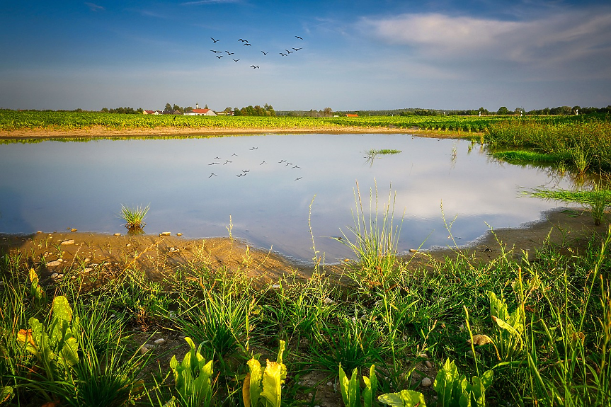 Условията само в една трета от речните басейни в света нормални през 2024 г.