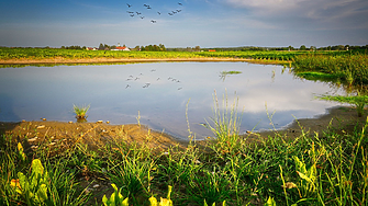 Условията само в една трета от речните басейни в света нормални през 2024 г.