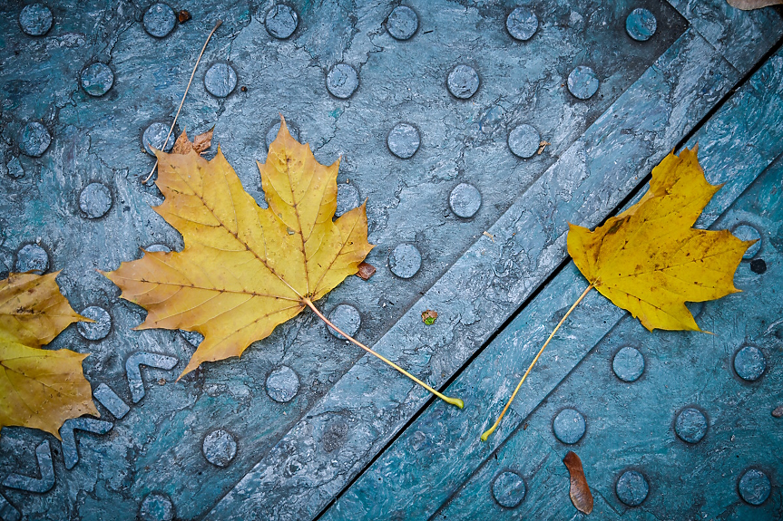 София инвестира 17 млн. лв. в тротоари, обновени са 93 хил. кв. м