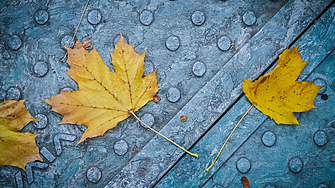 София инвестира 17 млн. лв. в тротоари, обновени са 93 хил. кв. м