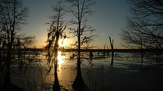 Румънско блато, приличащо на пейзаж от Властелинът на пръстените, привлича все повече туристи