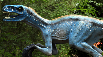 Румъния откри едно от най-богатите находища на останки от динозаври 