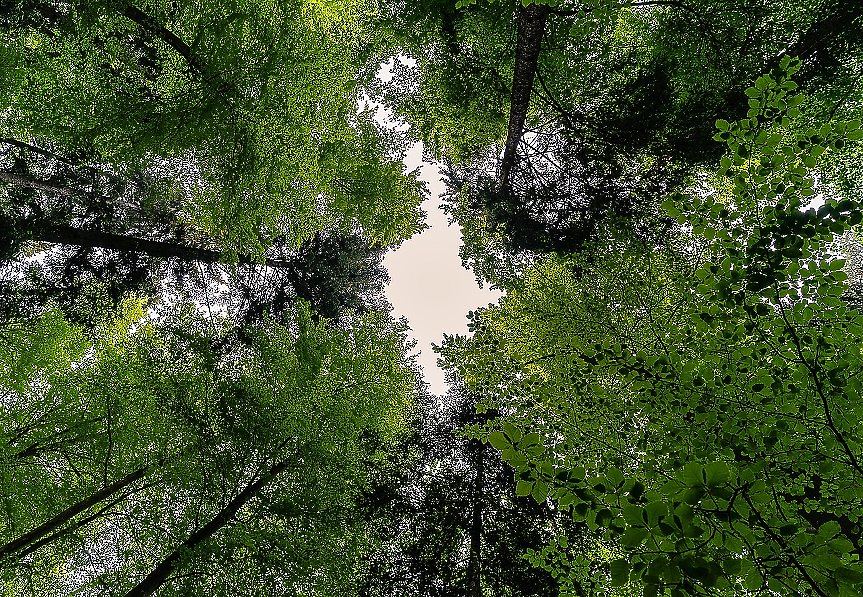 ЕК отпуска 6.4 млн. евро за три екопроекта у нас