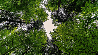 ЕК отпуска 6.4 млн. евро за три екопроекта у нас