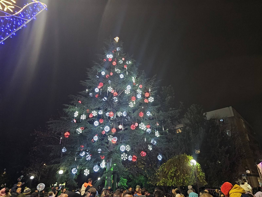 Най-голямото живо коледно дърво в Европа се намира в... малък български град (снимки)