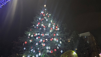 Най-голямото живо коледно дърво в Европа се намира в... малък български град (снимки)