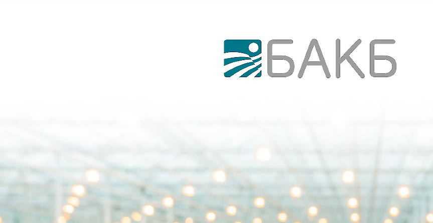 Цветелина Бориславова, БАКБ: Българска банка за първи път придобива чужда банка