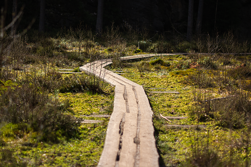Ивицата на смъртта: Как символ на комунистическата параноя се превърна в див рай?