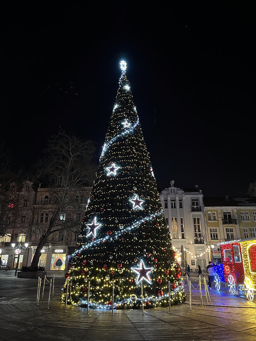 Гигантска елха, произведена в Раковски