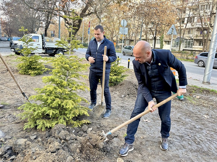 Община Пловдив засади общо 1000 нови дръвчета; ©Община Пловдив