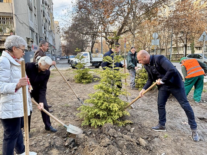 1000 дръвчета на ключови локации засади Пловдив